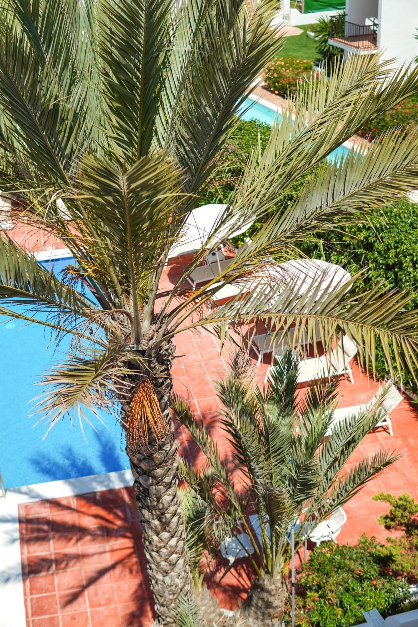 Typic Sandic Apartments Es Canar  Bagian luar foto
